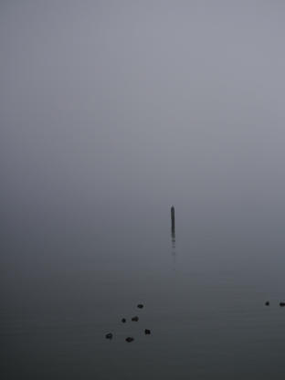 Immer nie am Meer - Yann Leverkühn